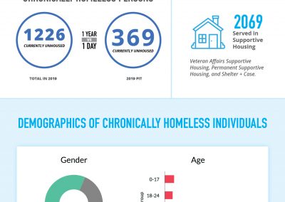 Chronic Individuals Factsheet